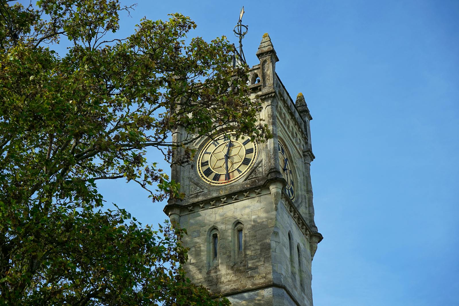 Tree Beside a Clock Tower