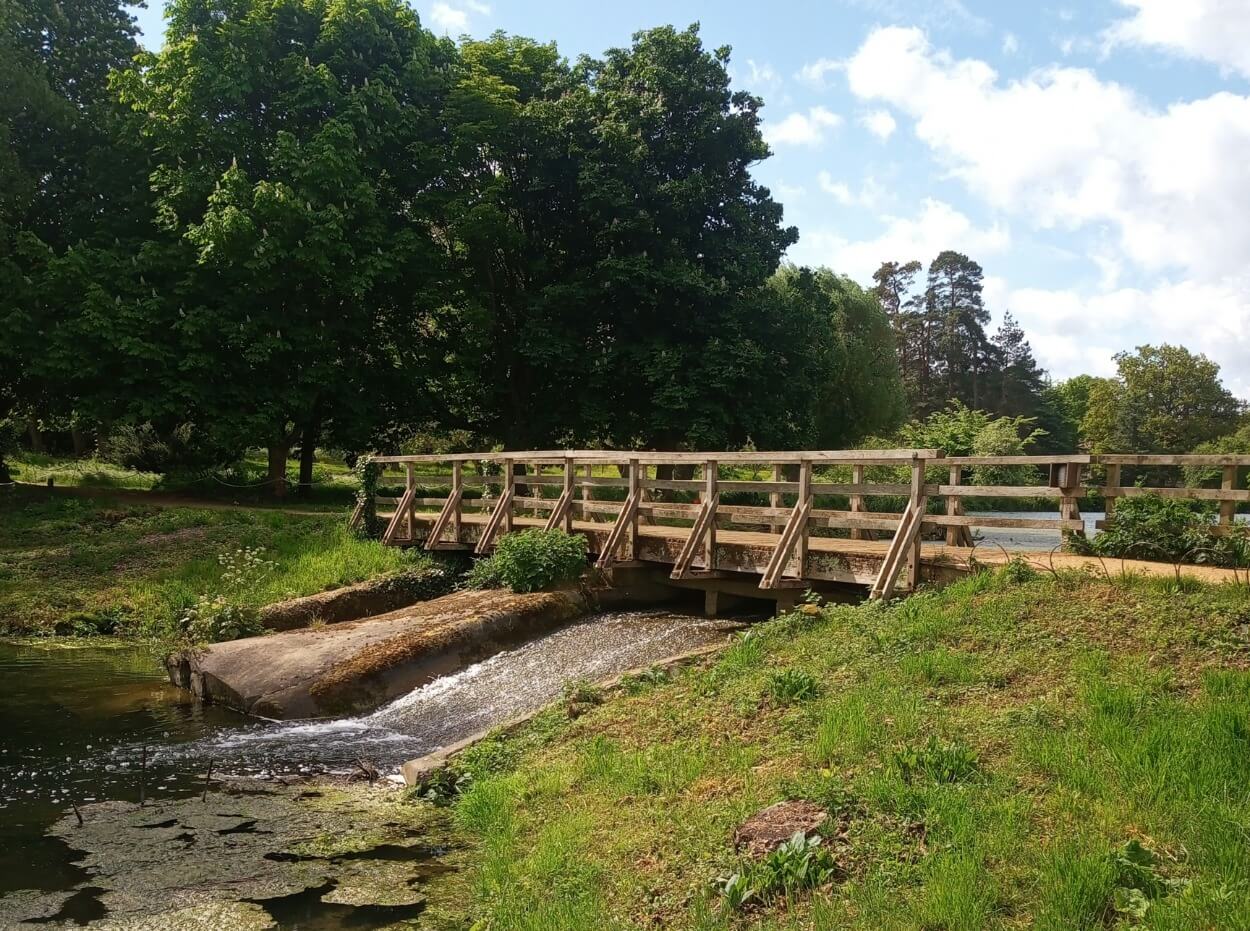 Basingstoke Basingstoke