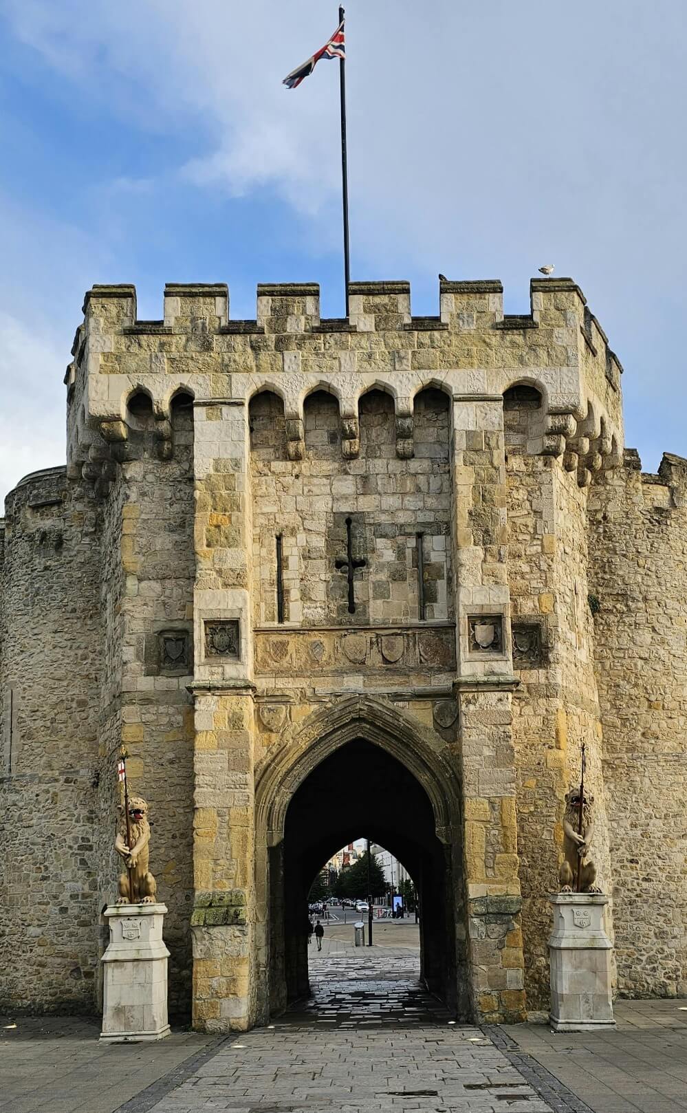 pexels-ivan-drazic-20457695-20679207 (1) (1)