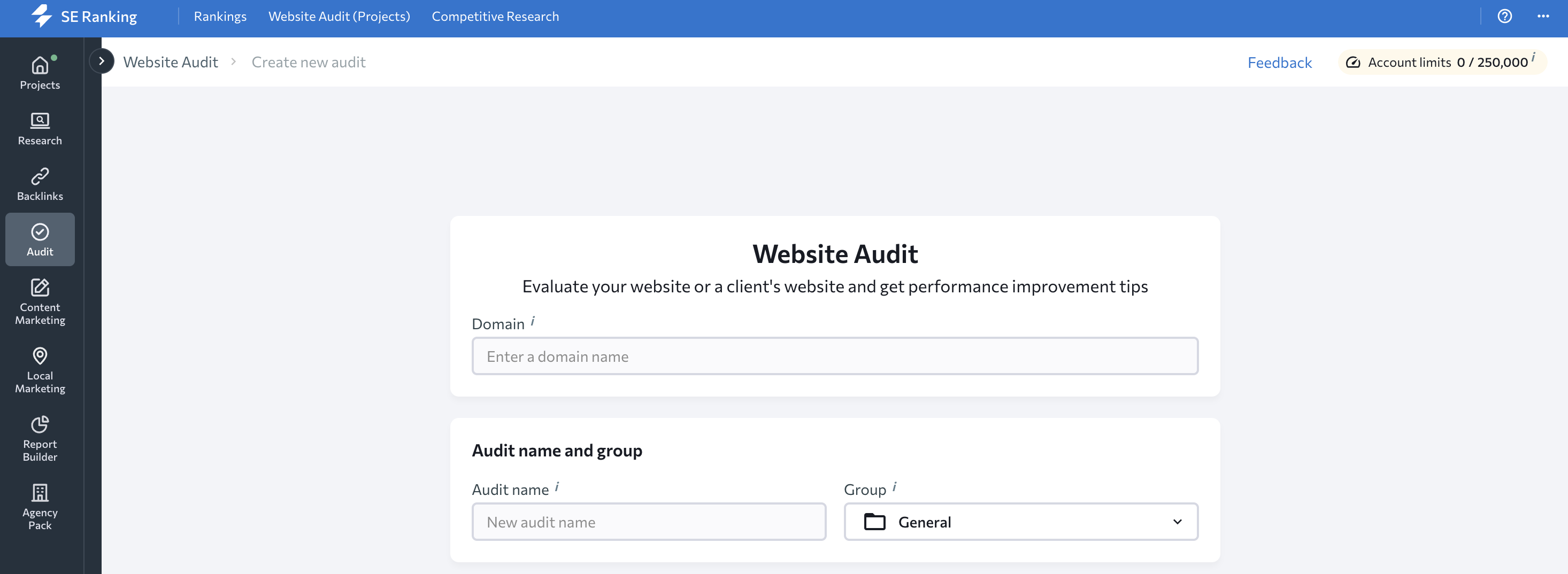 Screenshot from SERanking Website Audit section.